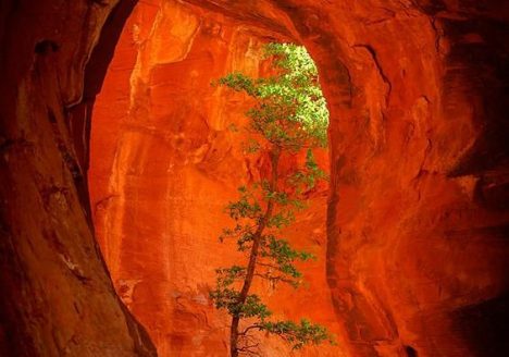 La Casa Cesare Pavese